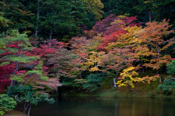 Shugagku-in  Garden 11-2699.jpg